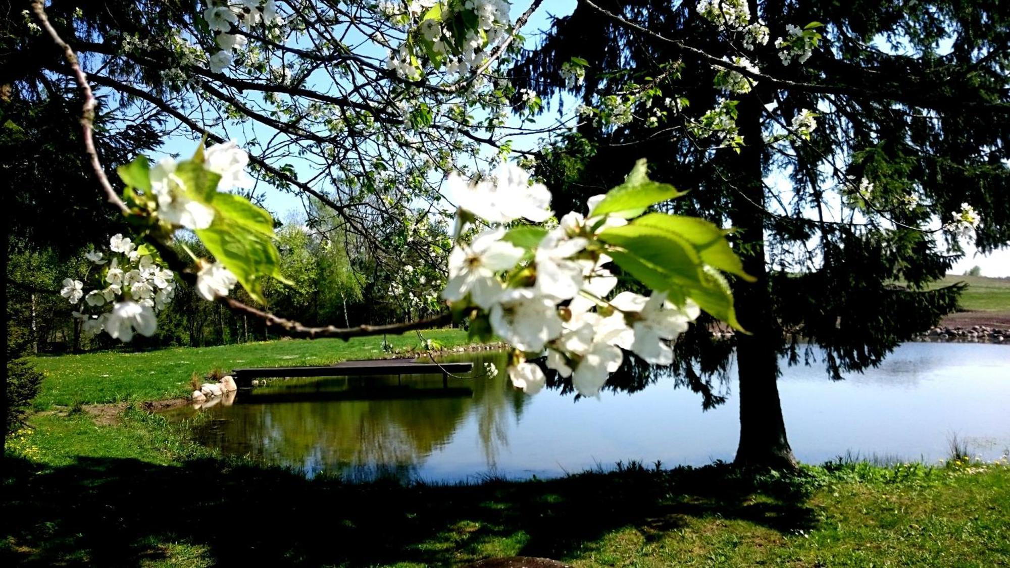 Dworek Szarki Esterno foto