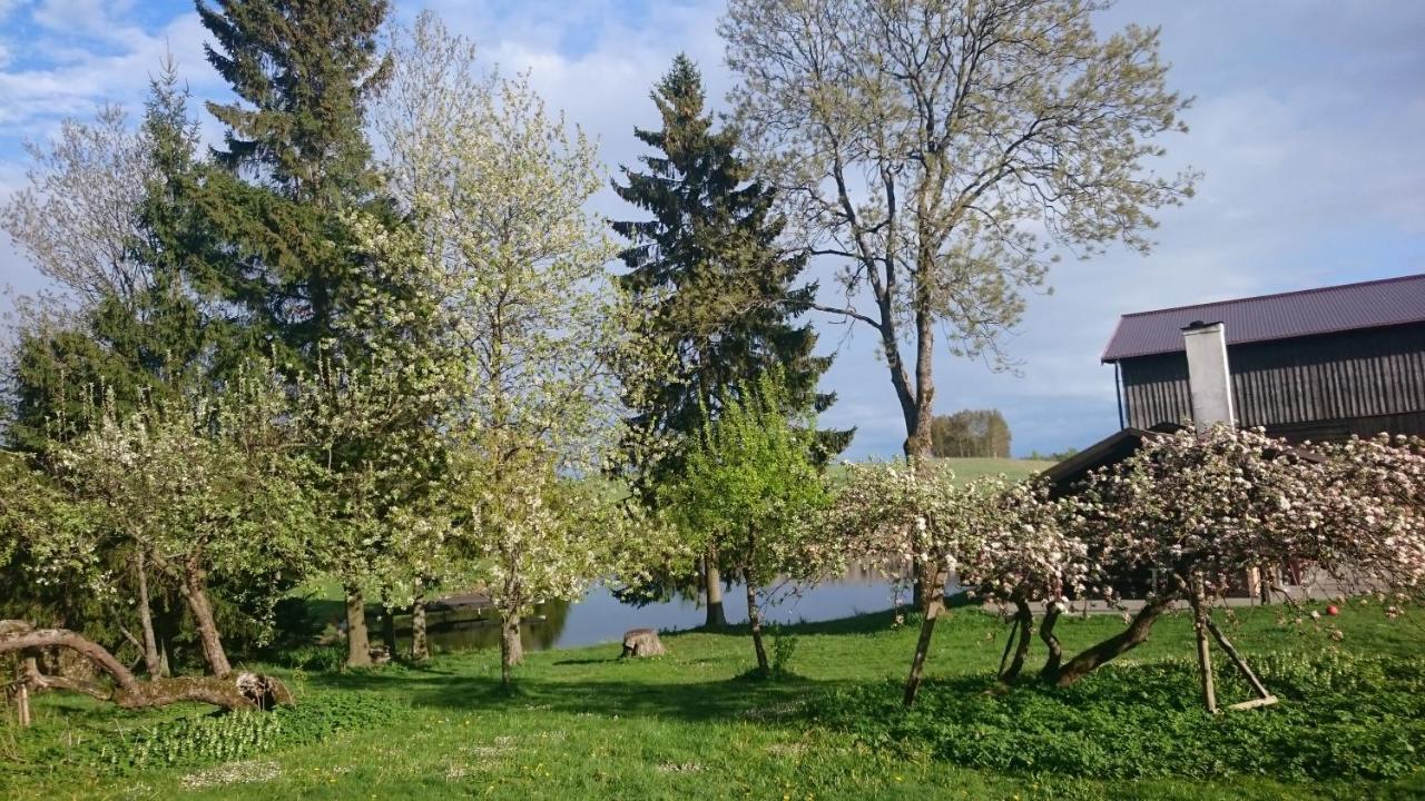 Dworek Szarki Esterno foto