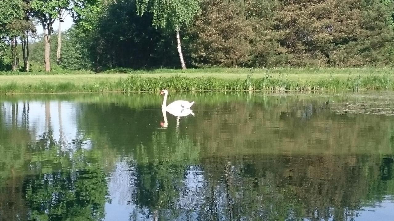 Dworek Szarki Esterno foto